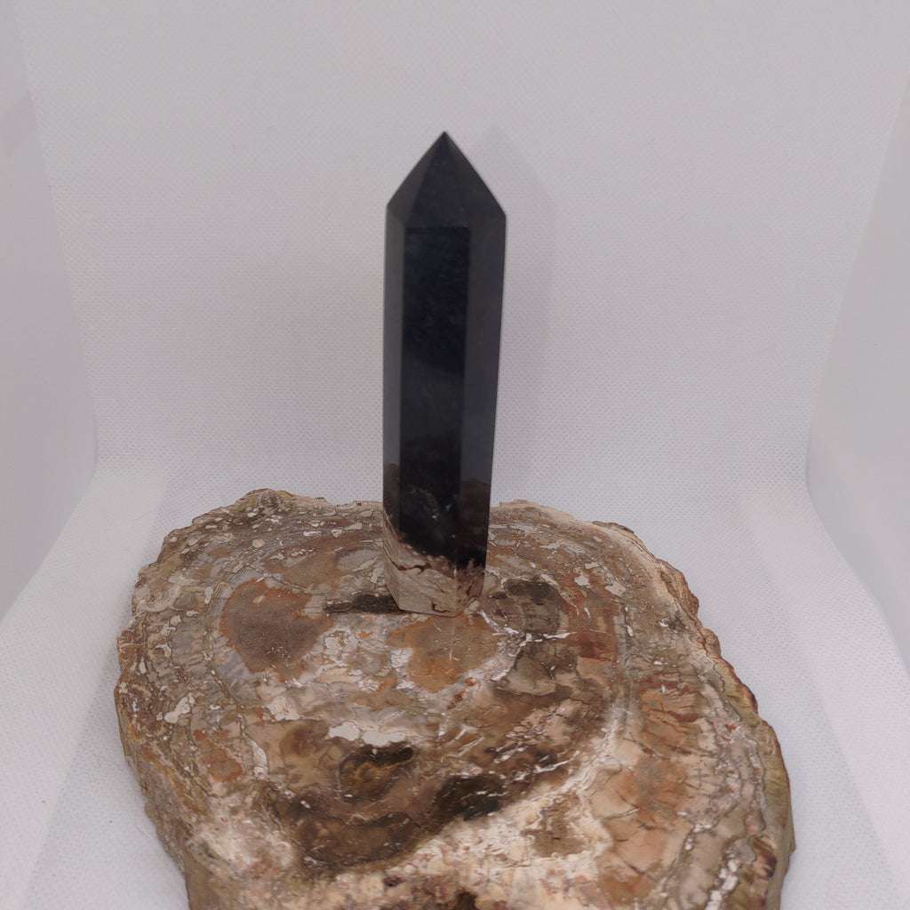 Fossilised Palm Root Tower – Ancient Grounding, Patience & Timeless Wisdom 🌿✨ Ref: 0419