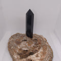 Fossilised Palm Root Tower – Ancient Grounding, Patience & Timeless Wisdom 🌿✨ Ref: 0419