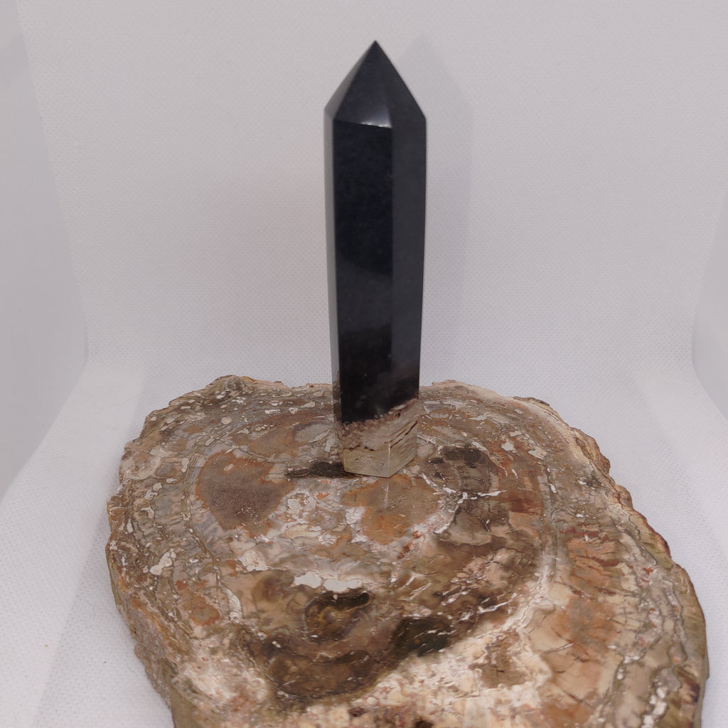 Fossilised Palm Root Tower – Ancient Grounding, Patience & Timeless Wisdom 🌿✨ Ref: 0419