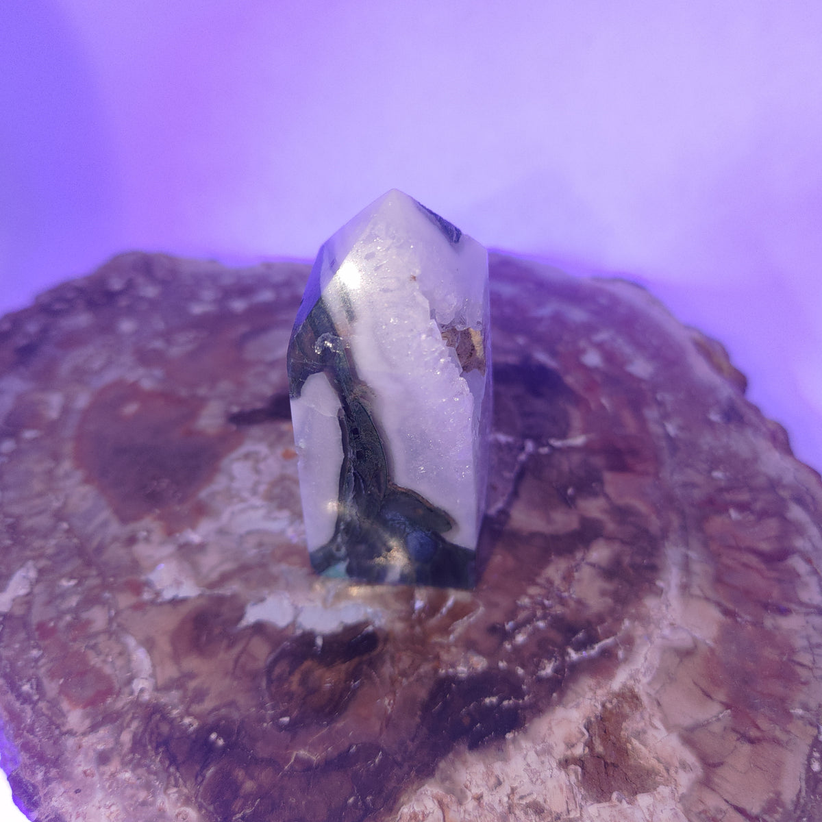 Moss Agate Tower With Sparkling Druzy Cavity – Botanical Growth, Abundance & Cosmic Portals 🌿✨ Ref: 0421