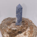 Blue Coral Tower – Ocean Serenity, Communication & Grounded Wisdom 🌊✨ Ref: 0424
