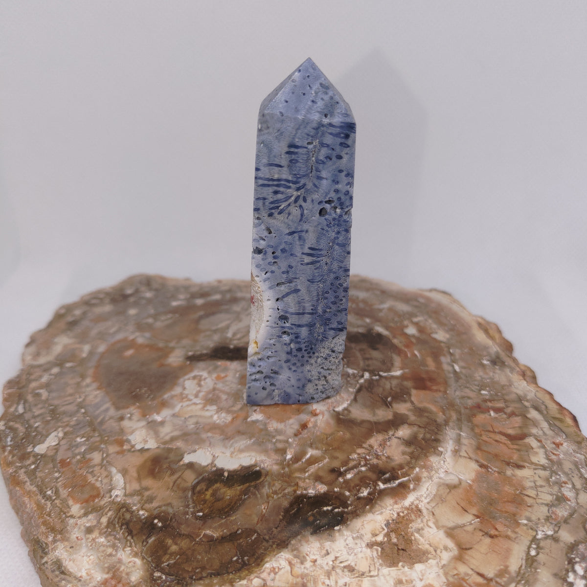 Blue Coral Tower – Ocean Serenity, Communication & Grounded Wisdom 🌊✨ Ref: 0424