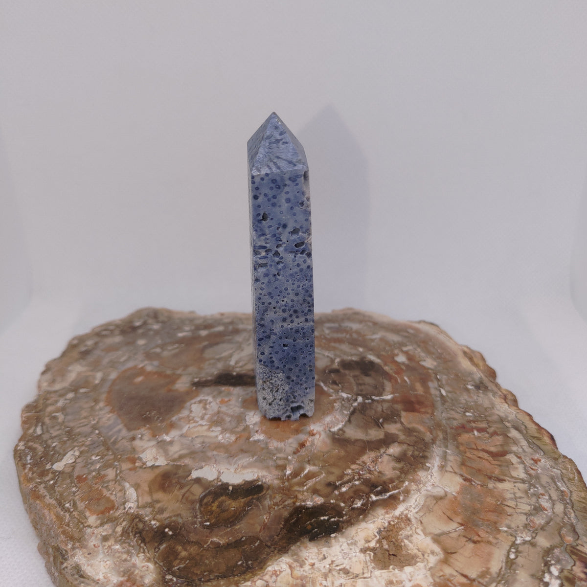 Blue Coral Tower – Ocean Serenity, Communication & Grounded Wisdom 🌊✨ Ref: 0424