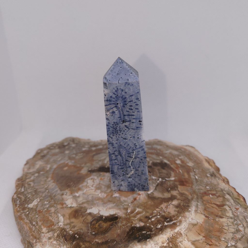 Blue Coral Tower – Ocean Serenity, Communication & Grounded Wisdom 🌊✨ Ref: 0424
