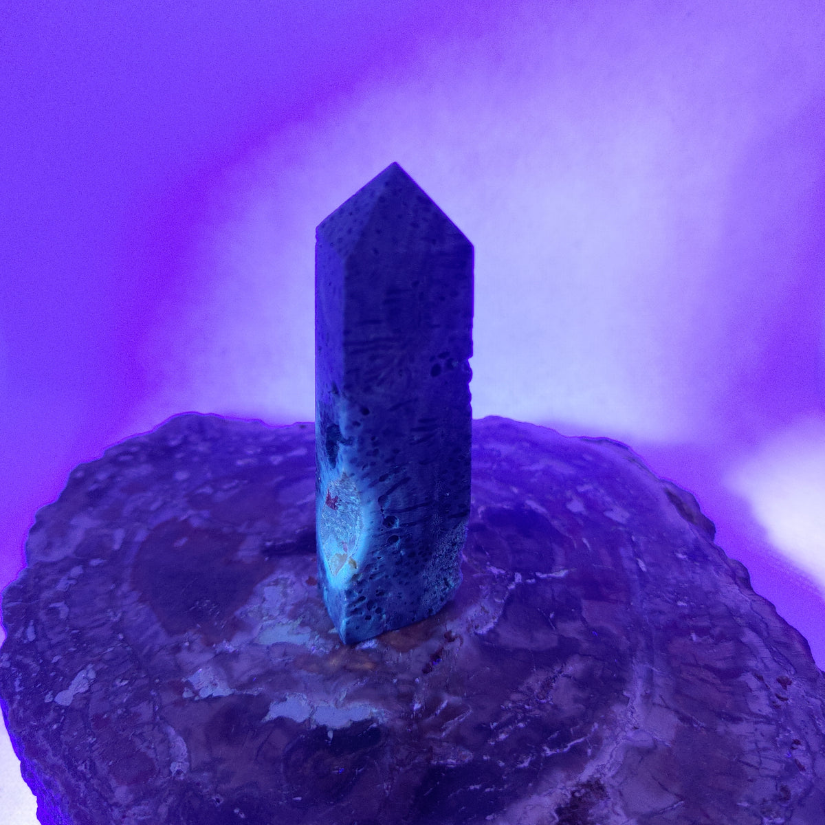 Blue Coral Tower – Ocean Serenity, Communication & Grounded Wisdom 🌊✨ Ref: 0424