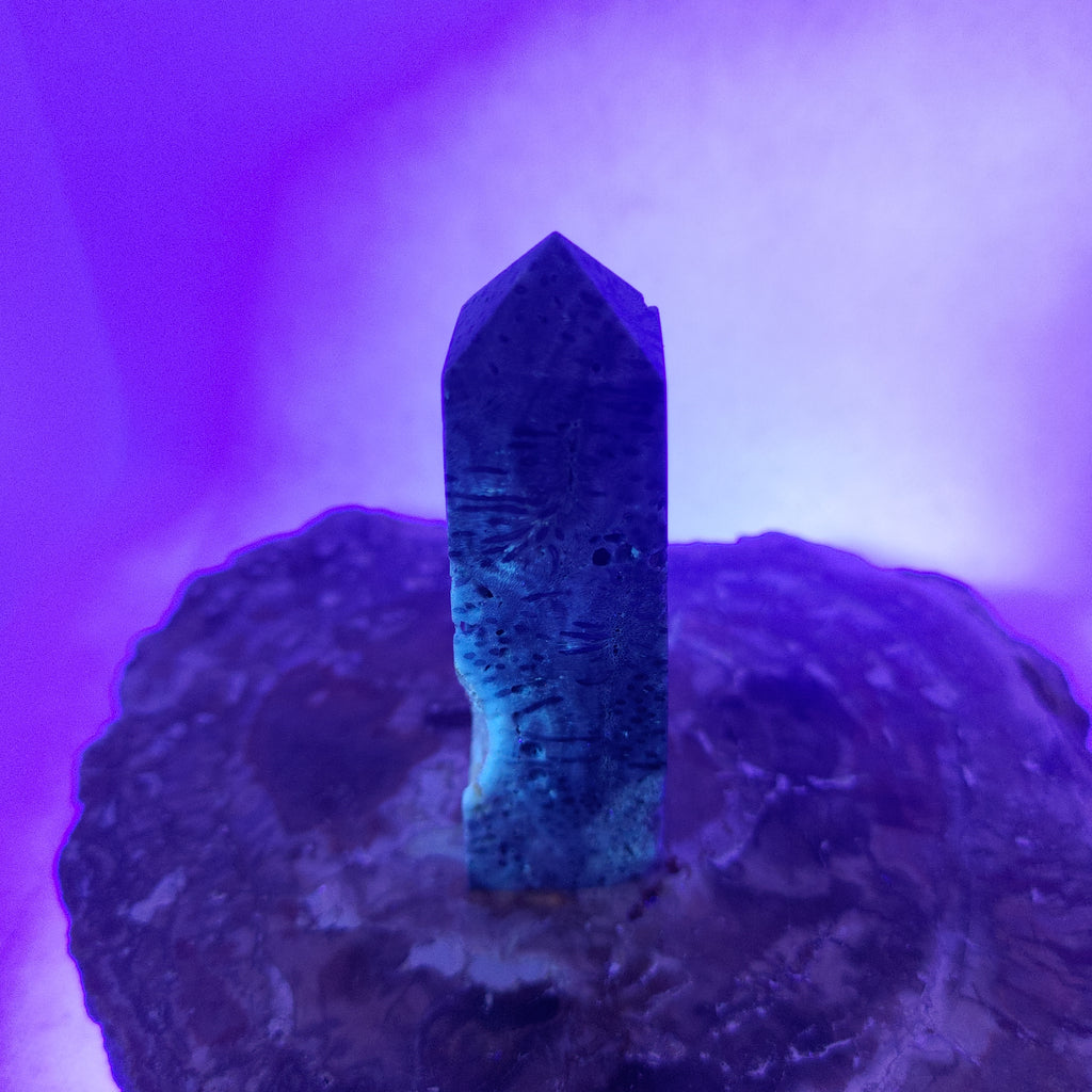 Blue Coral Tower – Ocean Serenity, Communication & Grounded Wisdom 🌊✨ Ref: 0424
