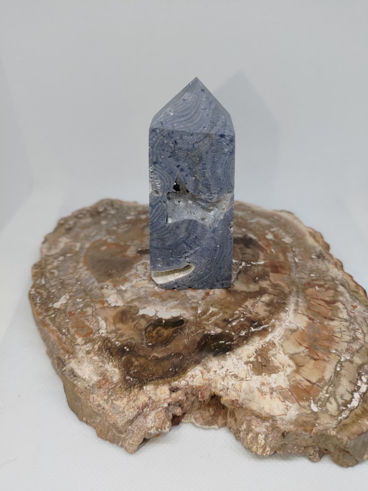 Blue Coral Tower – Ocean Serenity, Communication & Grounded Wisdom 🌊✨ Ref: 0425