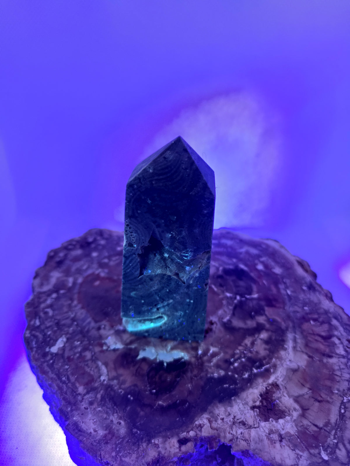 Blue Coral Tower – Ocean Serenity, Communication & Grounded Wisdom 🌊✨ Ref: 0425